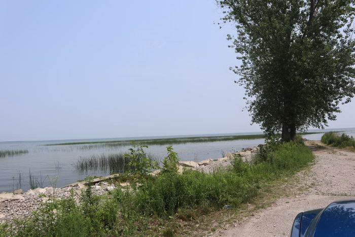 Alabaster - Alabaster Photo From July 2021 (newer photo)